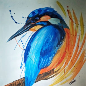 Kingfisher Bird