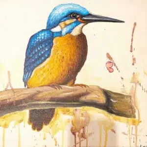 Kingfisher Bird Art