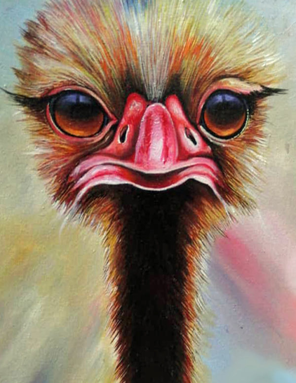 Ostrich Face