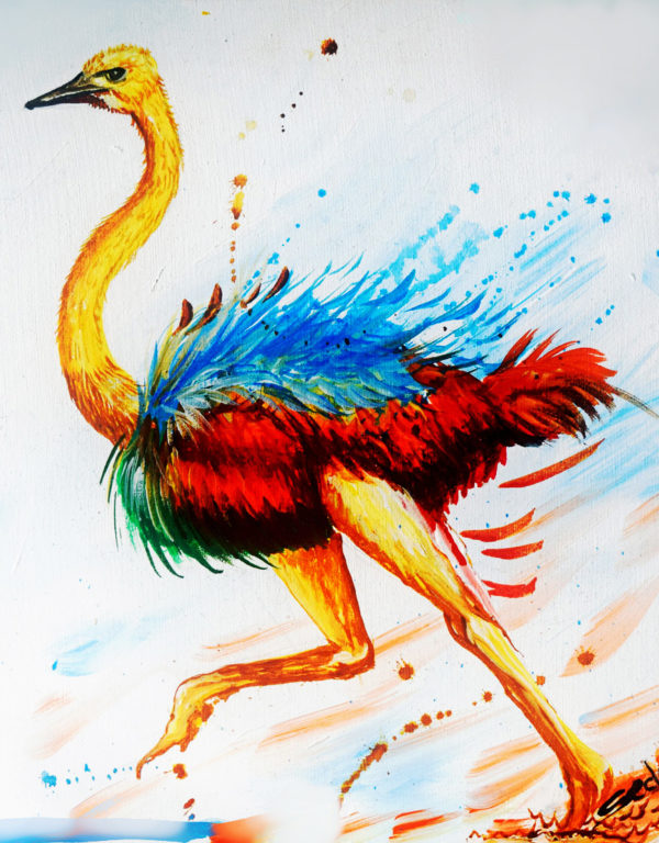 Colorful Ostrich Running