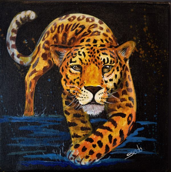 Leopard Running Small Black