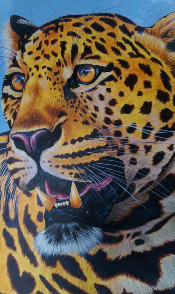 Leopard Print