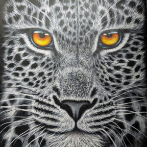 Leopard Face