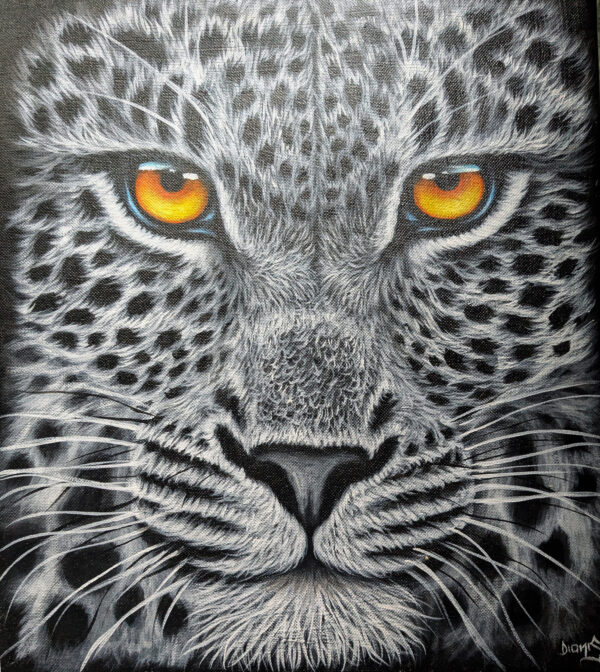 Leopard Face
