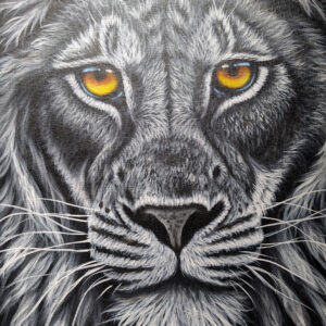 Lion Face