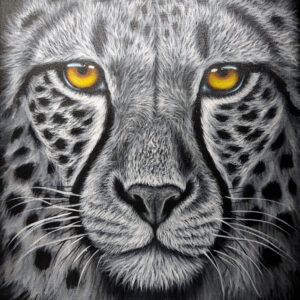 Cheetah Face