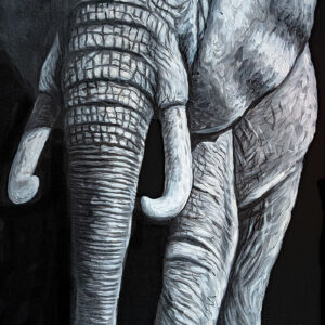 Black and White Dramatic Elephant