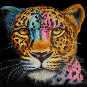 Colorful Leopard